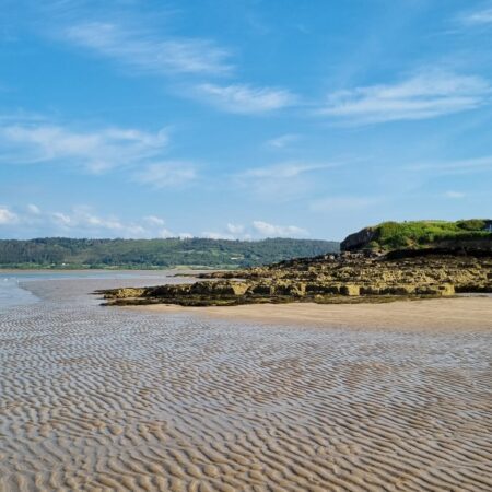 IMG-20250309-WA0015